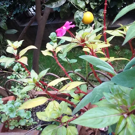 Plan Sea Santa Margherita Ligure