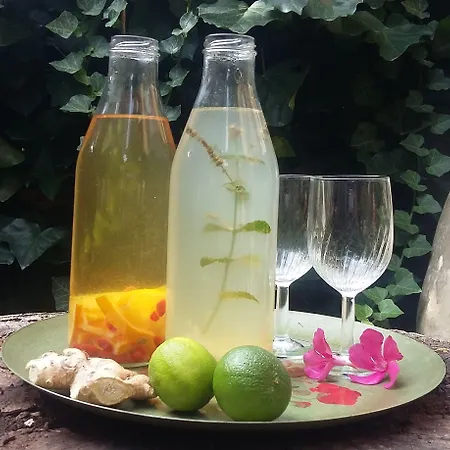 Plan Sea 4* Santa Margherita Ligure