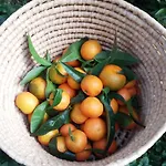 بيت ضيافة Plan Sea