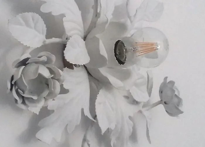 Plan Sea 게스트하우스 4*