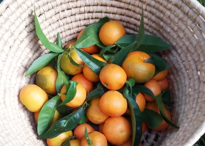 게스트하우스 Plan Sea