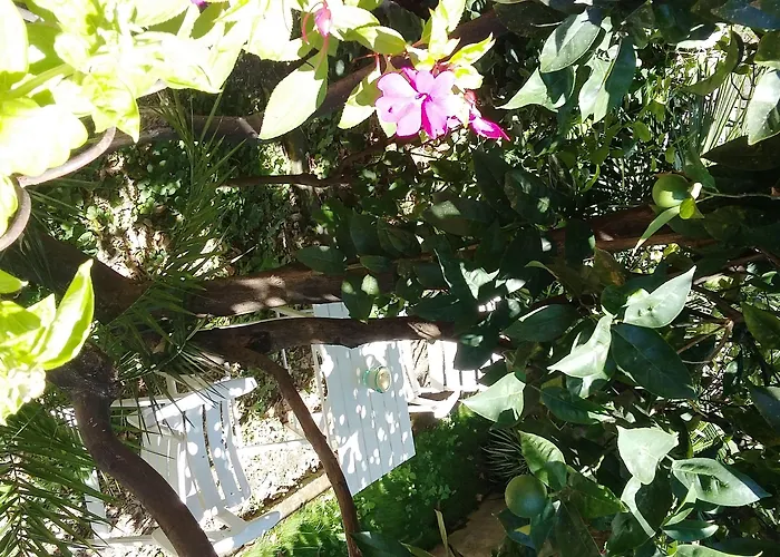 게스트하우스 Plan Sea