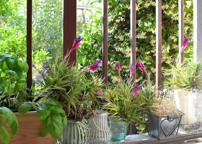 Plan Sea 게스트하우스